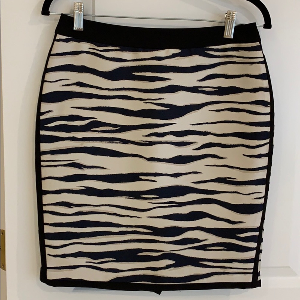 Ann Taylor gorgeous skirt size 4P